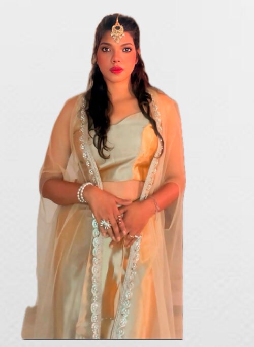 Three piece Indo western blouse with skirt & heavy shruge - Image 2
