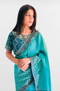 Crunch party wear saree with blouse