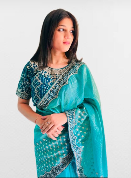 Crunch party wear saree with blouse
